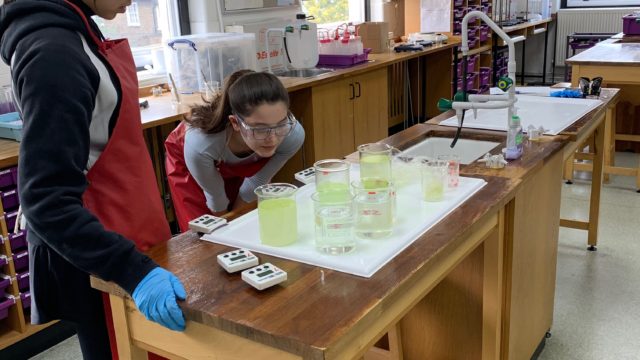 Students taking part in Science Week activities.